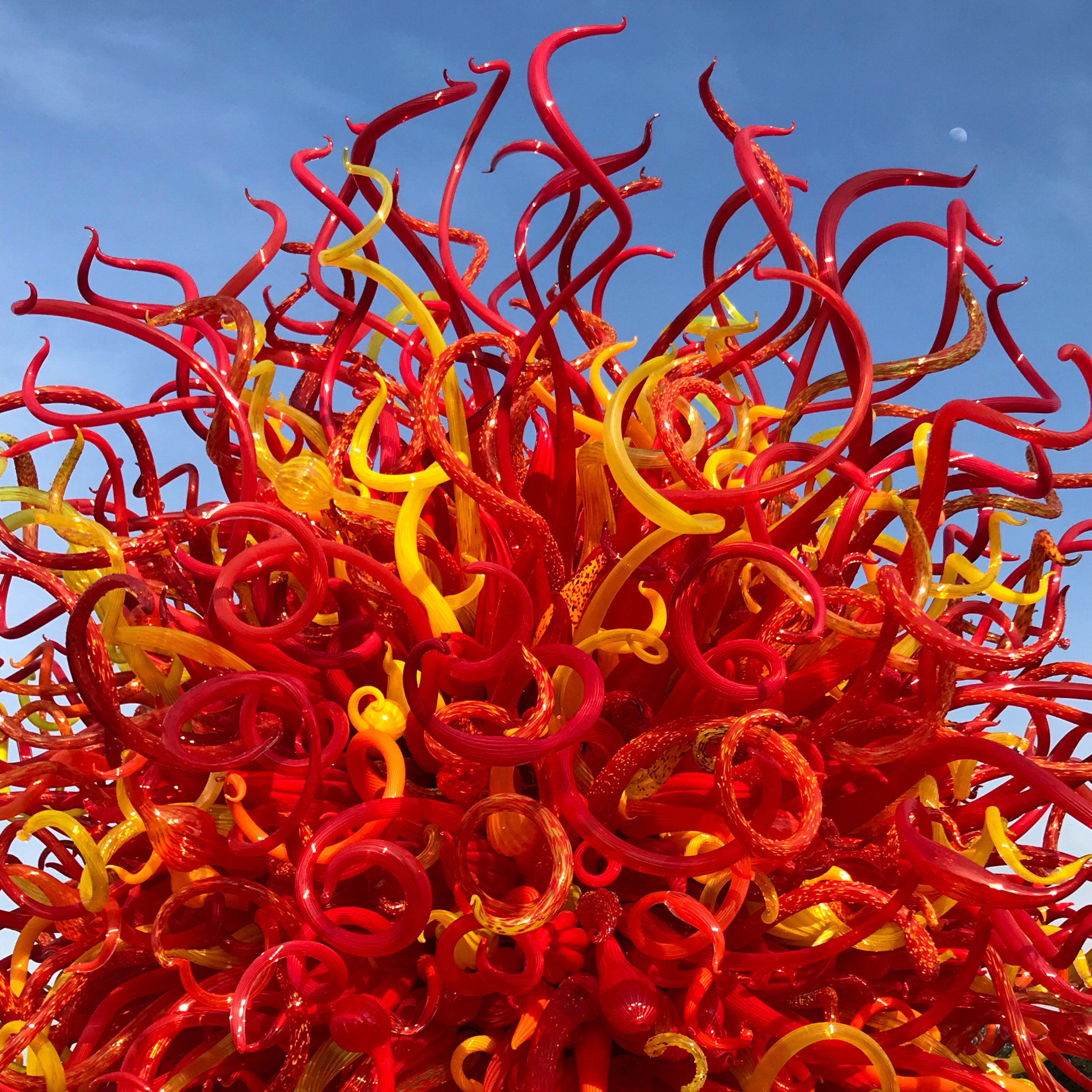 Dale Chihuly at Kew Gardens