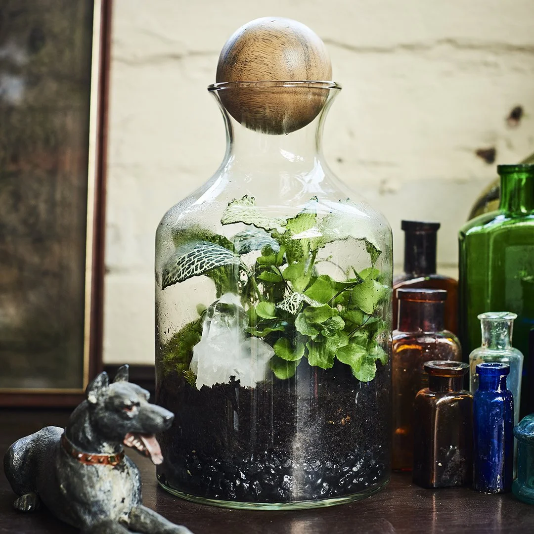 Terrariums_2_Retouched_016.jpg