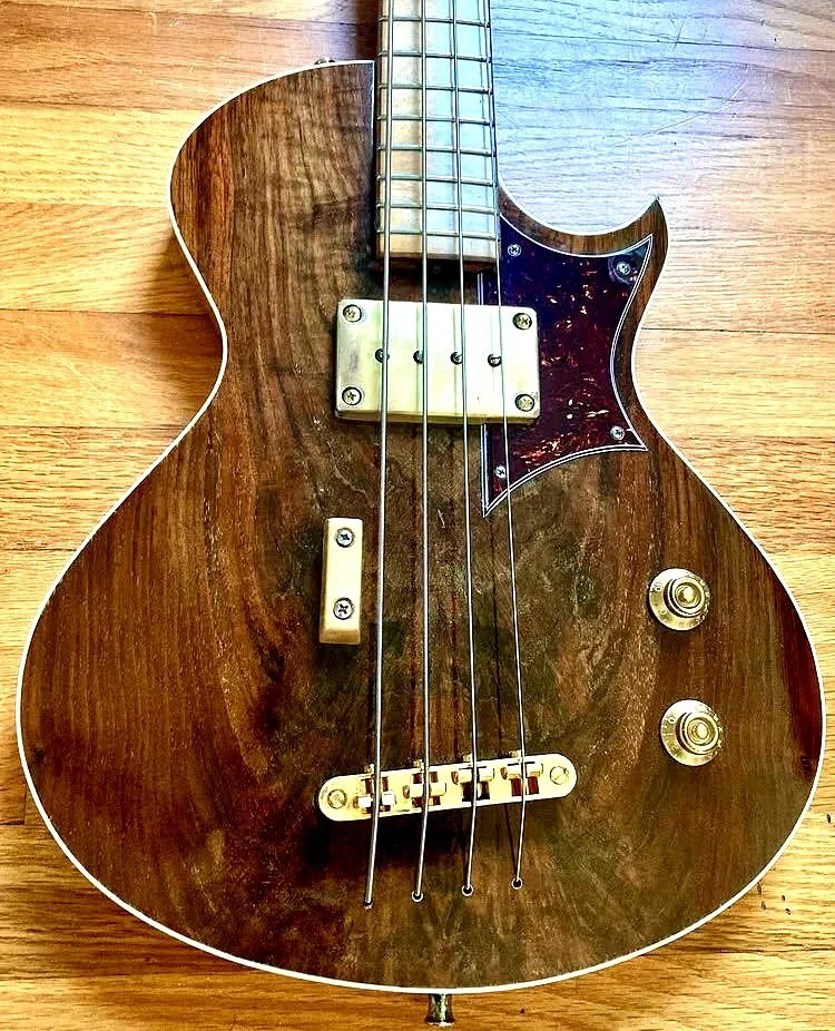 HawkWPickguarde.jpg