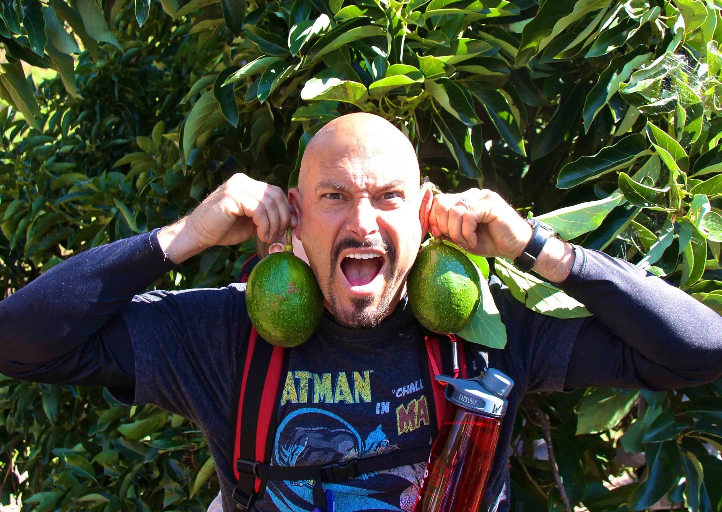 Avocado Earrings.jpg