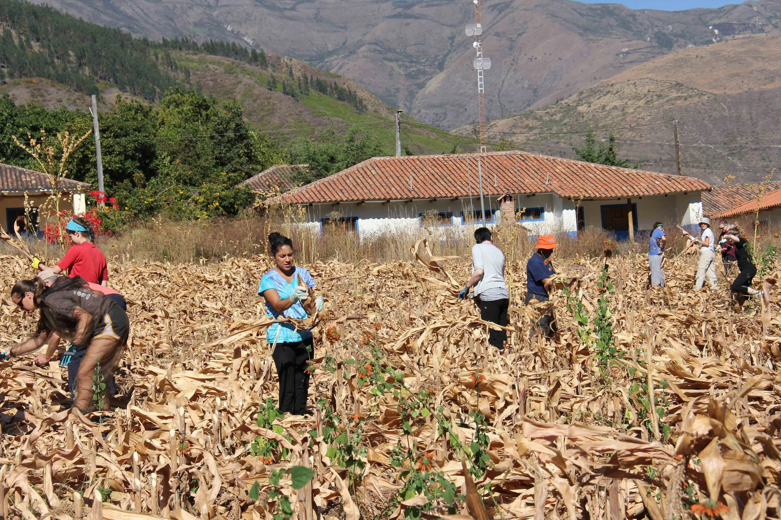 Corn Farmers.jpg