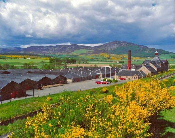 Balblair Distillery.jpeg