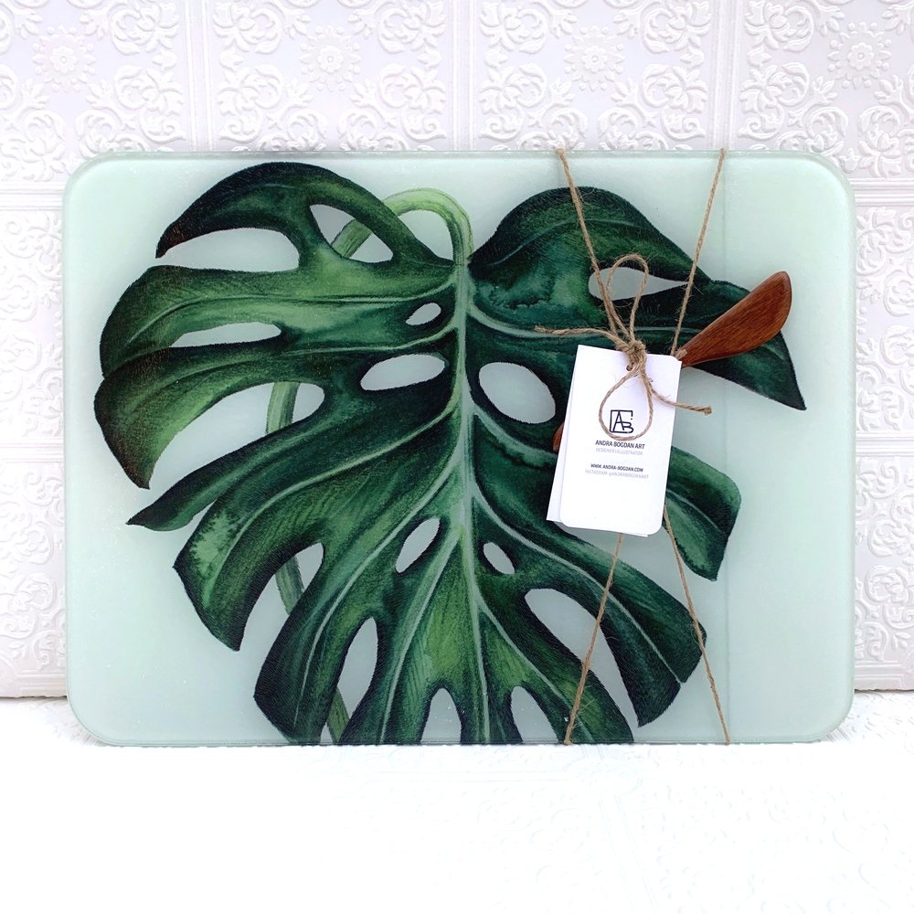 monstera aquakultur Monstera im Kugelglas - Hydroponik - Monstera