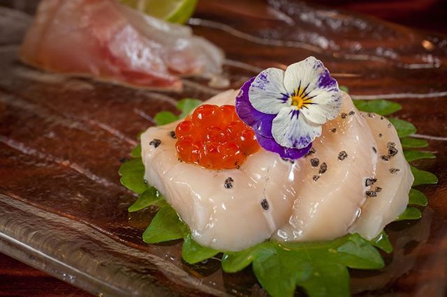 #freshscallops from Japan #tsujikifishmarket #sashimi #umisushiroseville #rosevillesushi #sushi #sacramento #roseville #foodporn #sushiporn #🍣 #nofilter