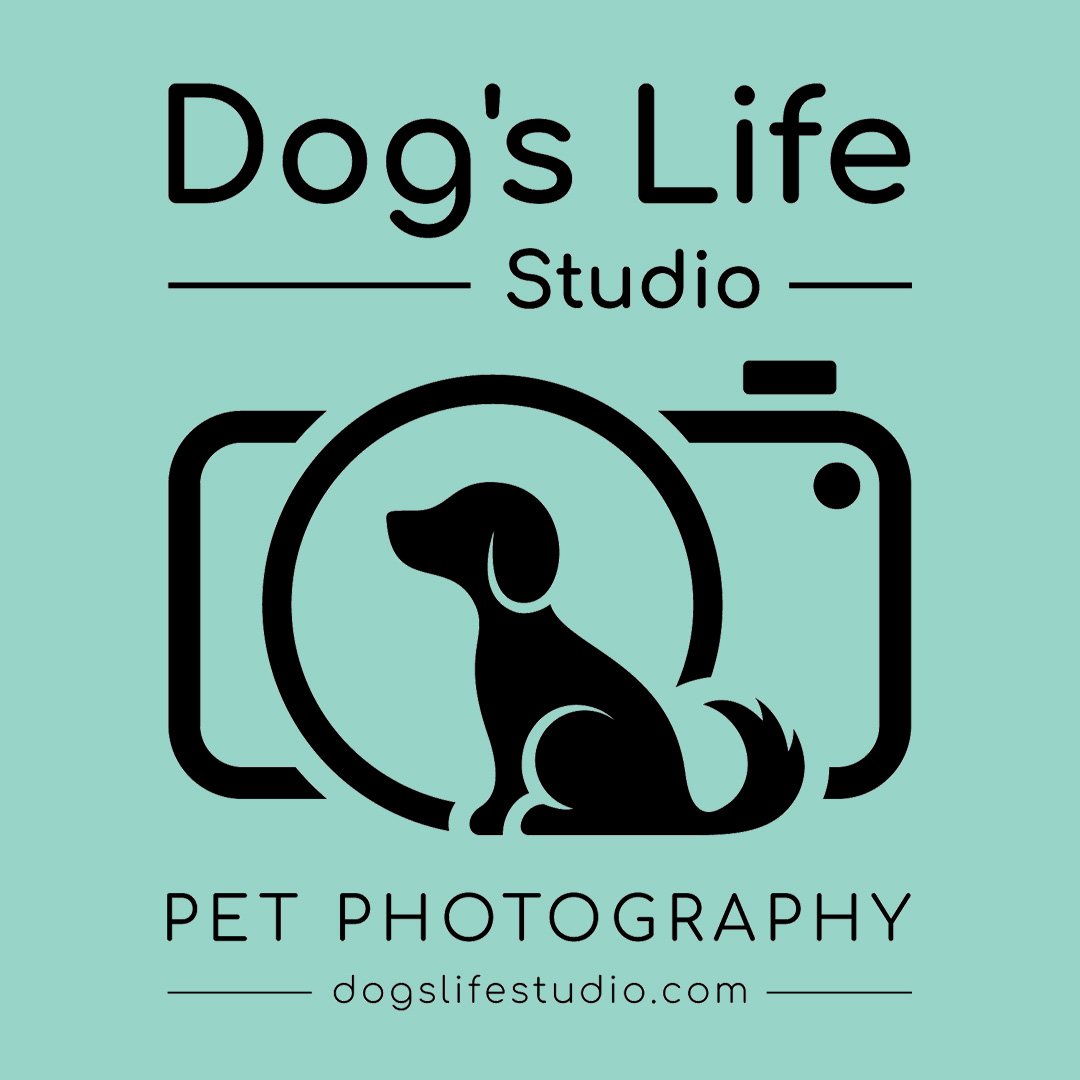 Dogs Life Studio Logo.jpg