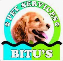 Bitus Logo.JPG