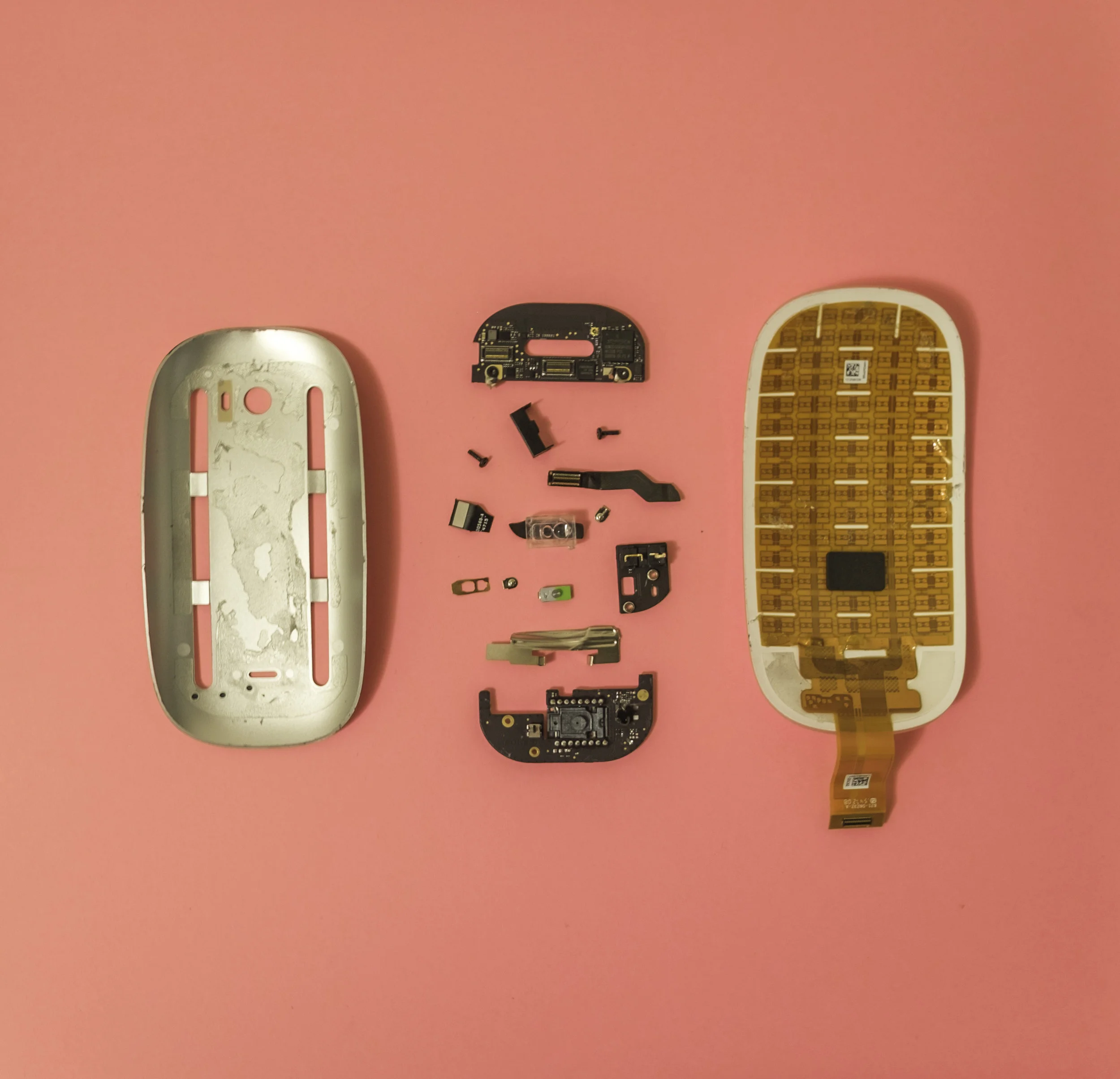 Mouse