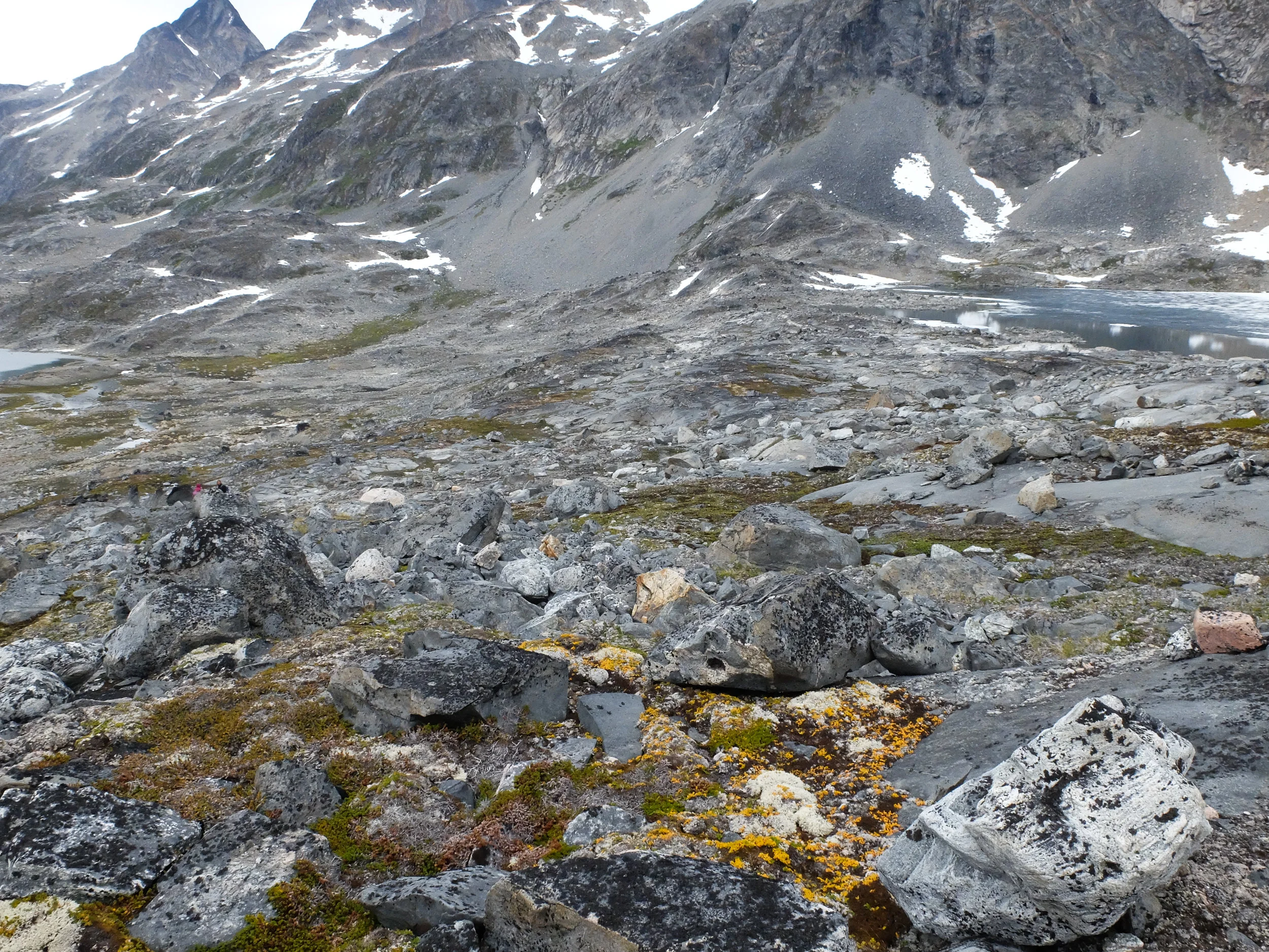 DSCF1563.jpg