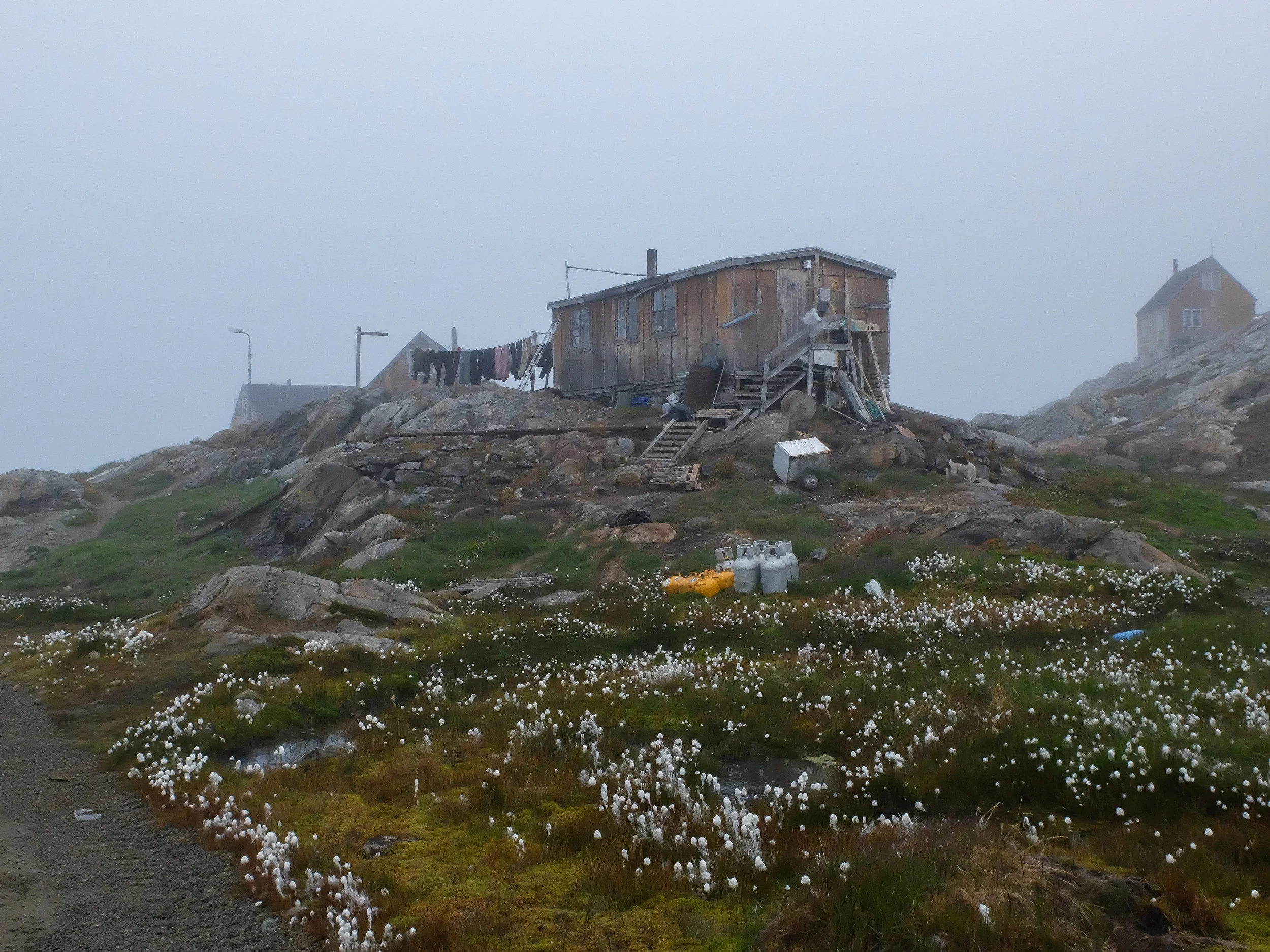 DSCF1638.jpg