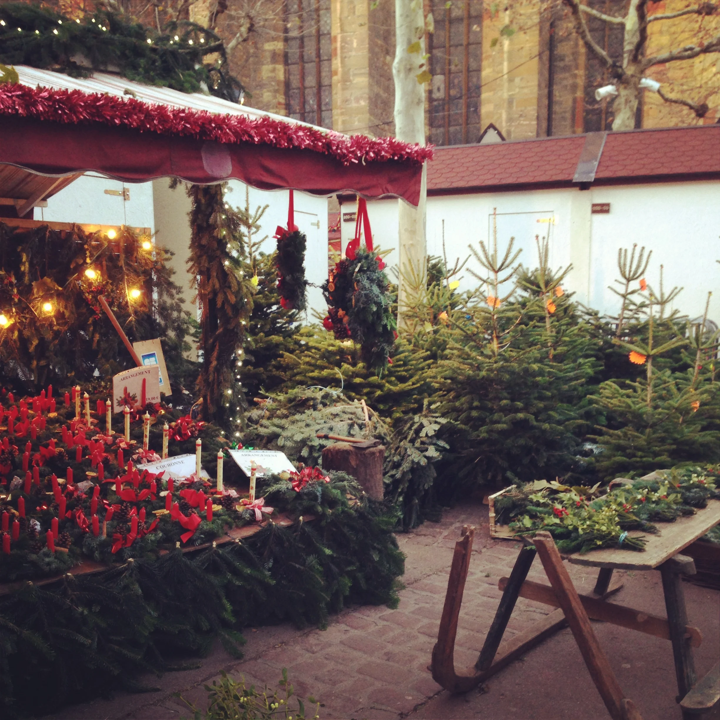 Survive and Thrive The Holiday Season