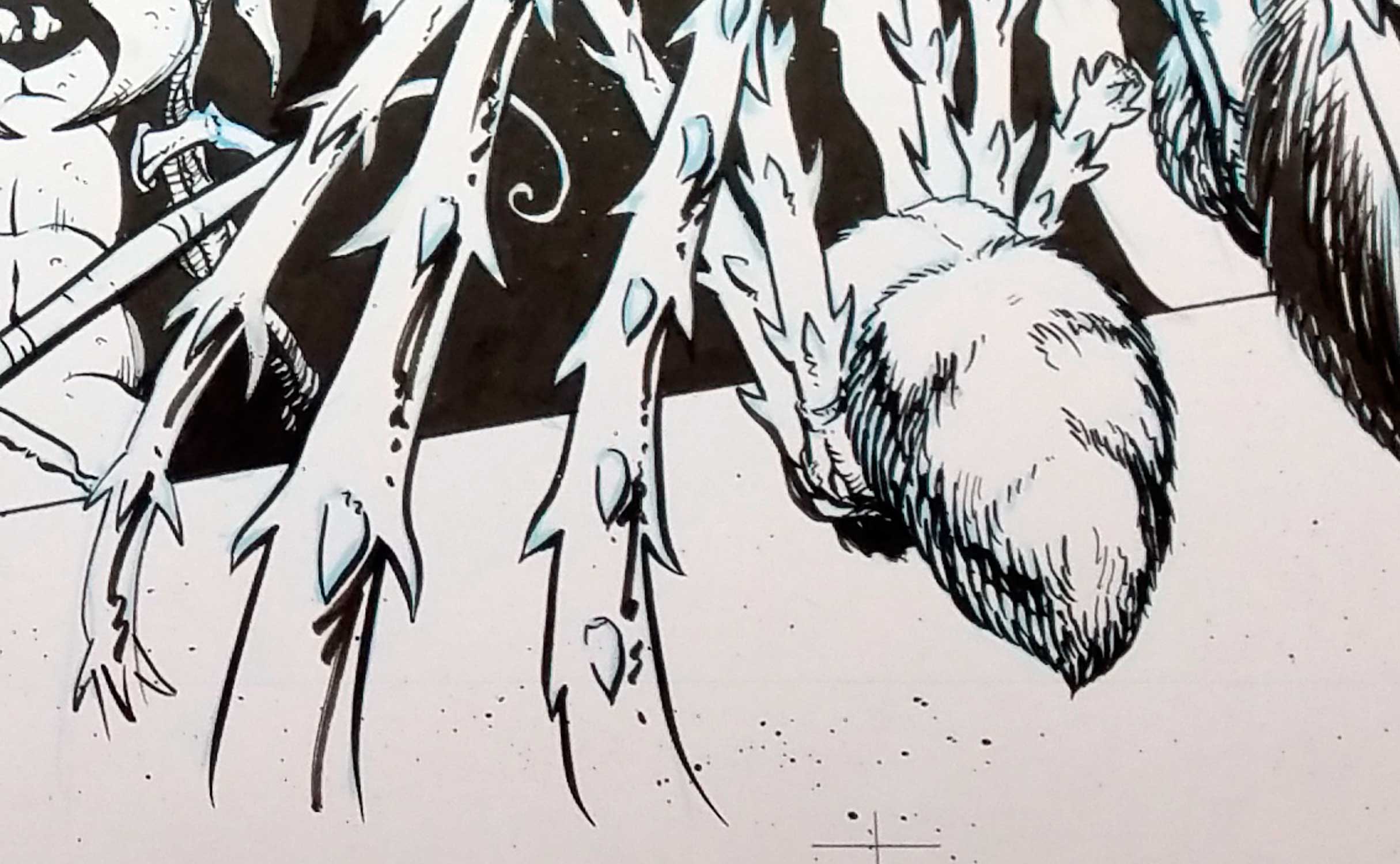 Close up of some spider butt.