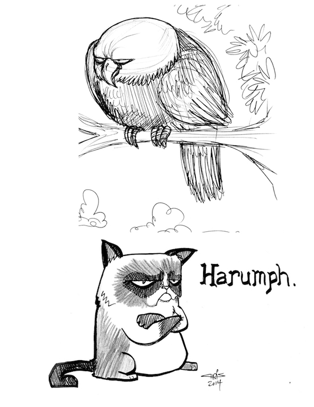 grumpy eagle and cat