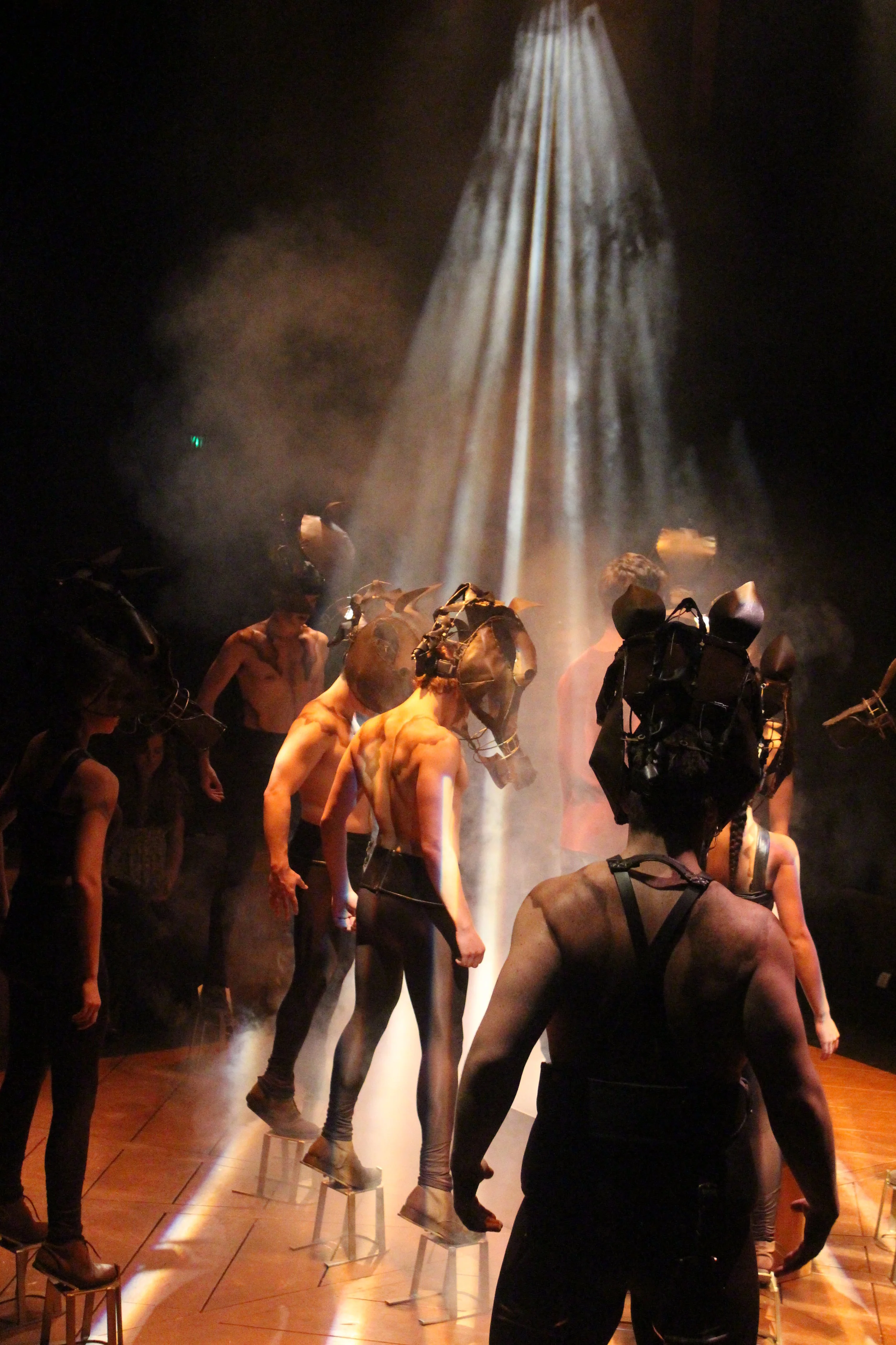 Western Washington University's production of Equus. Assistant costume designer. 