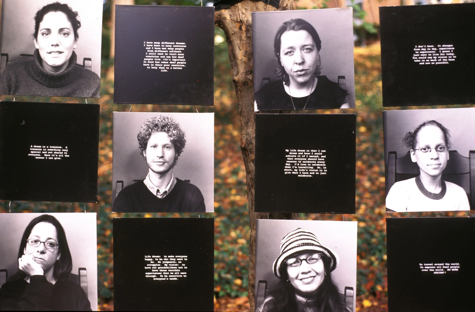 Audism Dialogues Installation