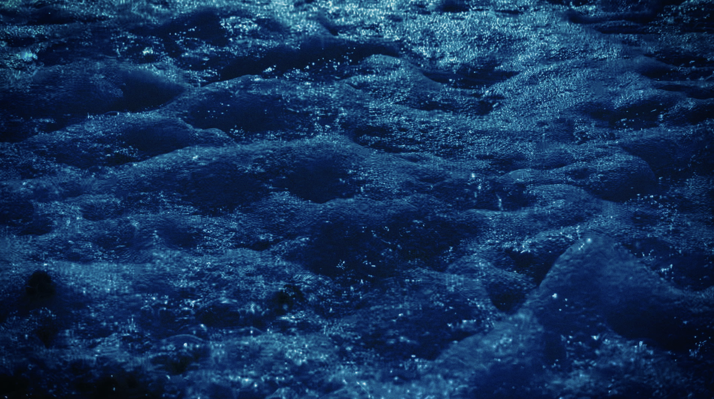 MariaGarcia_23.01.2025_Image4.png