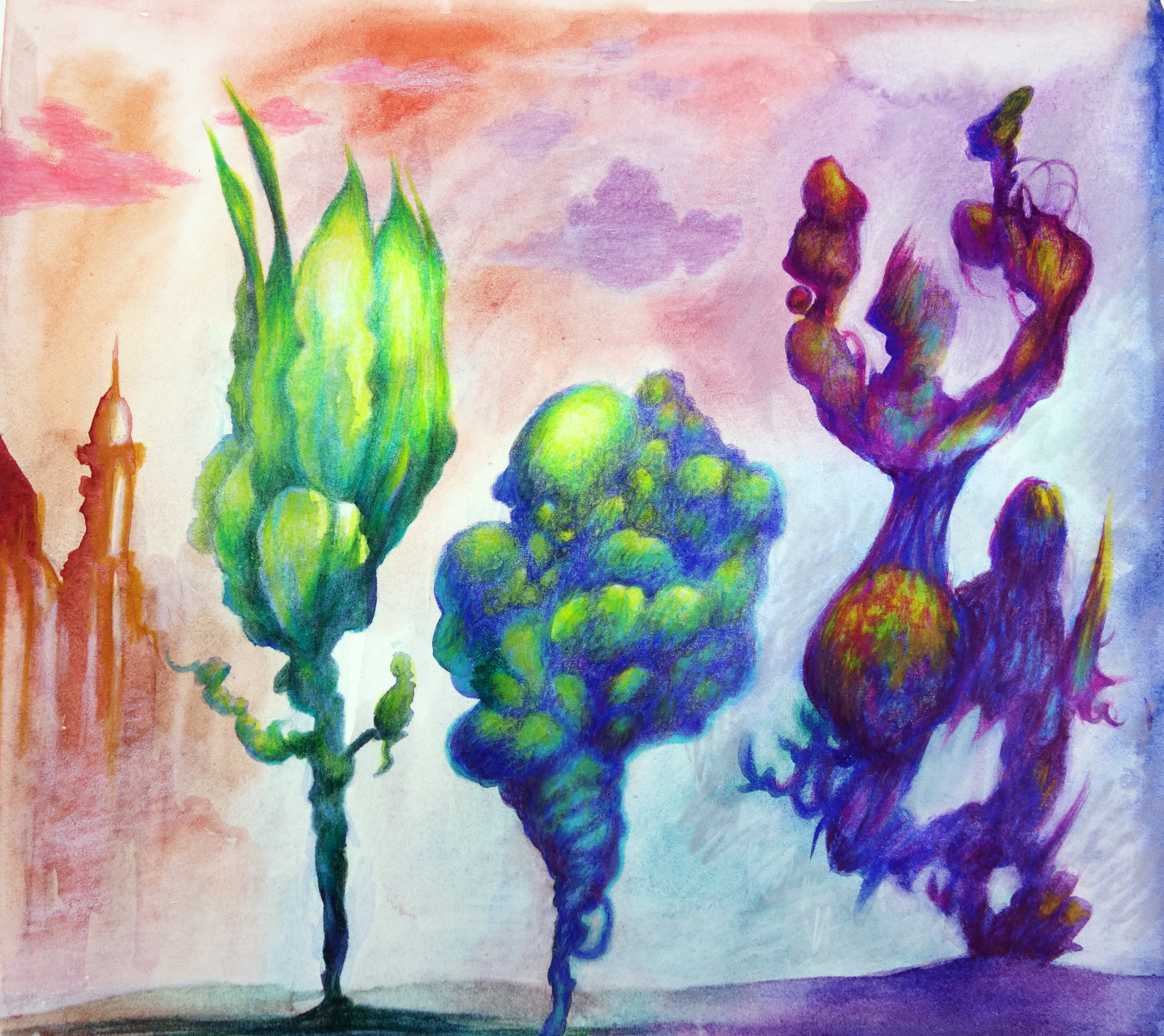 Chapel Gardens.png