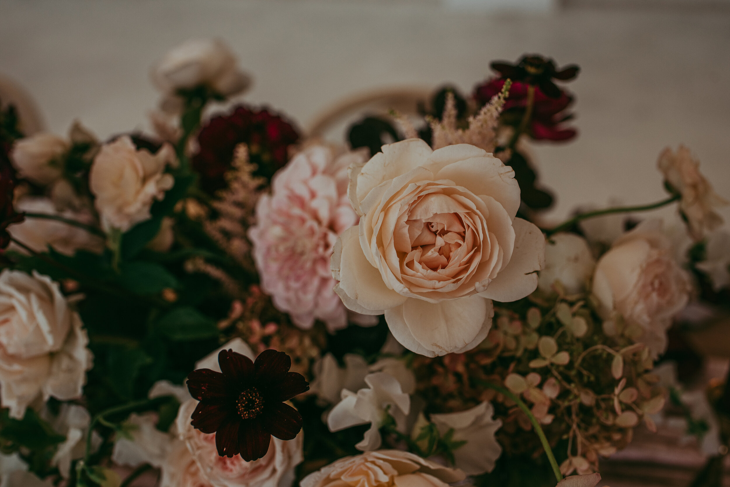 fig&honey11 (1 of 1).jpg