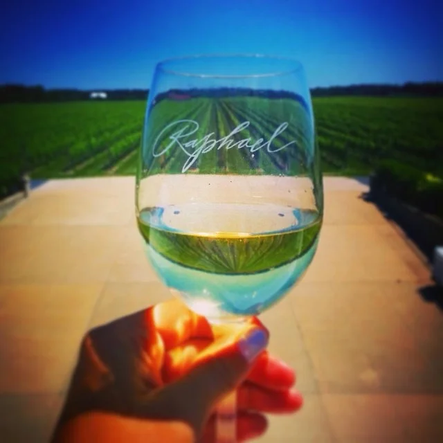 top_visits_raphael_winery.png