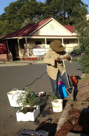 Karen with seedlings - would you believe we planted 50!