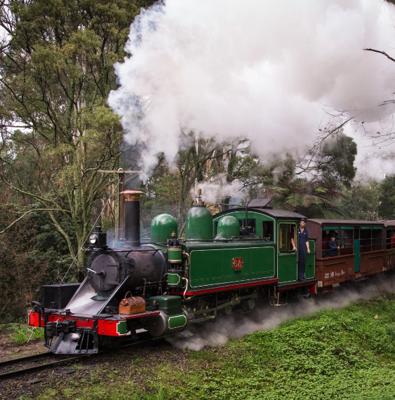 Puffing Billy Connection