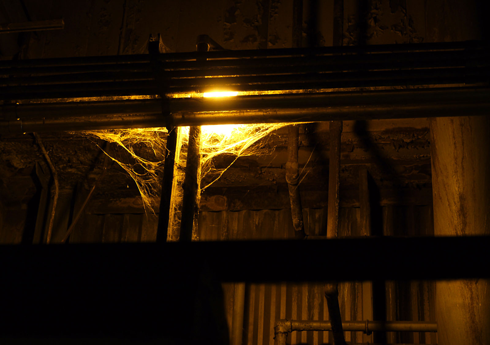 Spider Light sml2.jpg