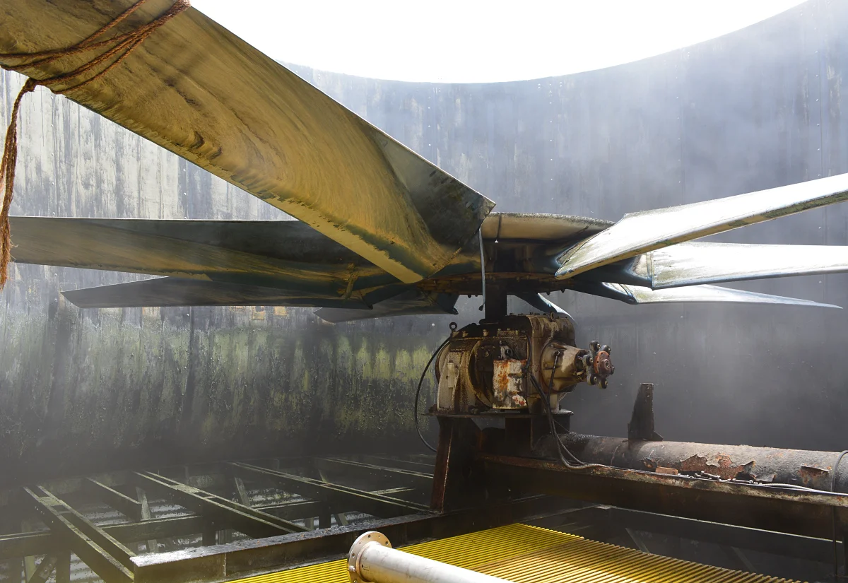 10-Fan Blades 22x32.jpg