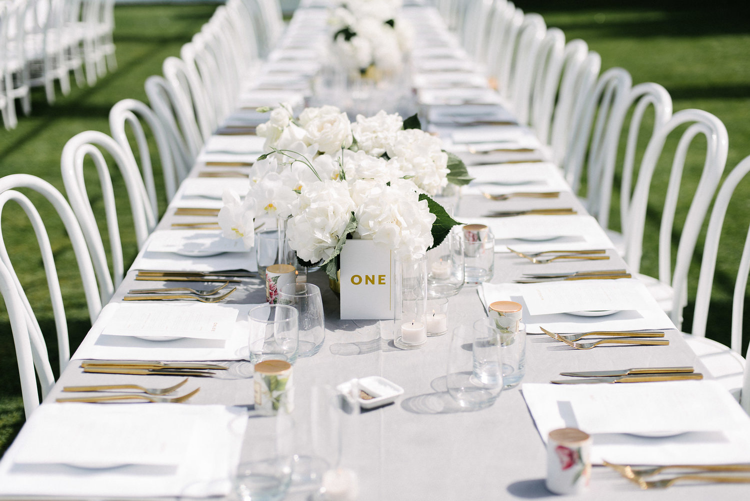 IMAGE COURTESY OF MARION H PHOTOGRAPHY