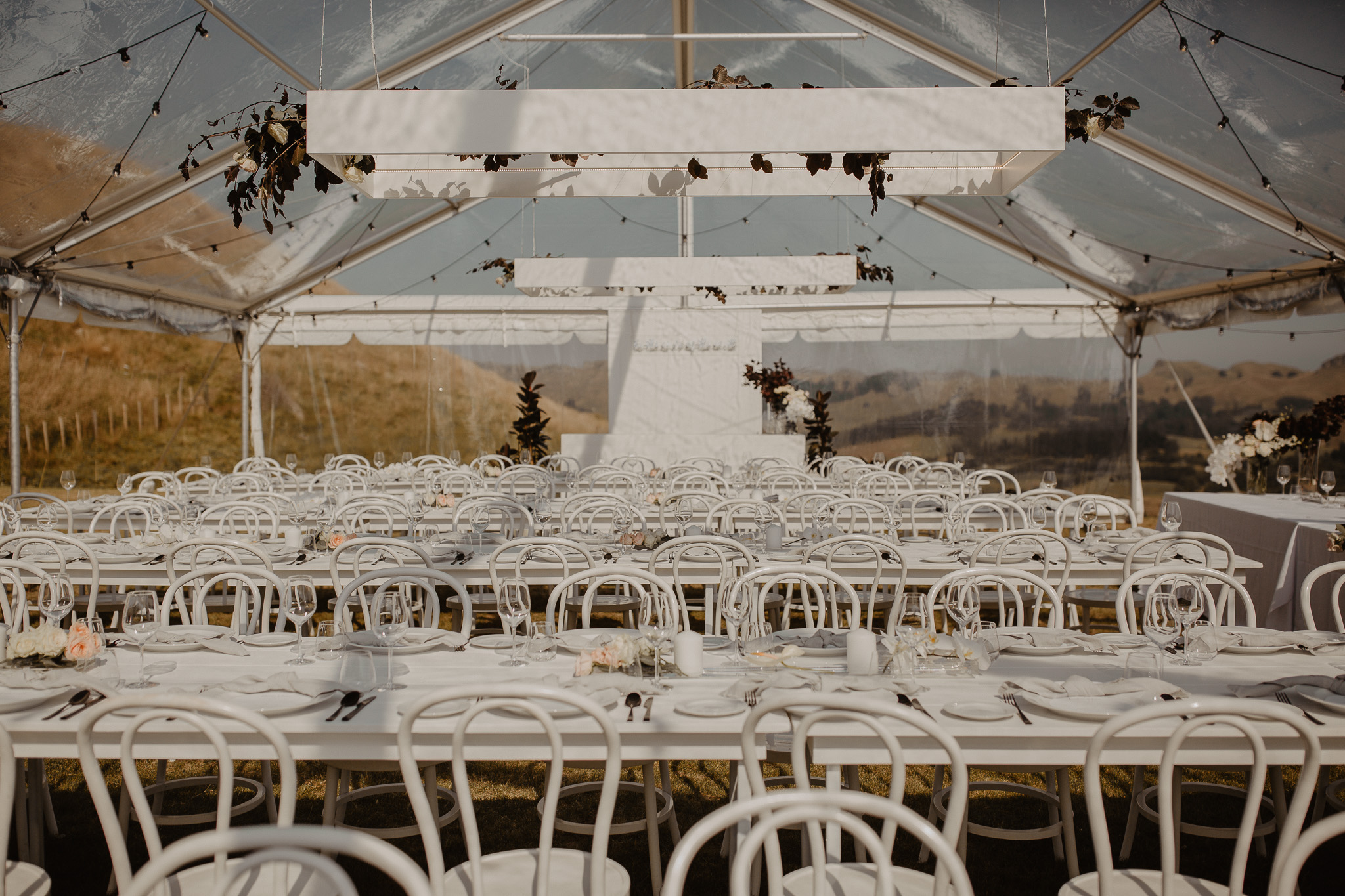 Image courtesy of Wild & Grace