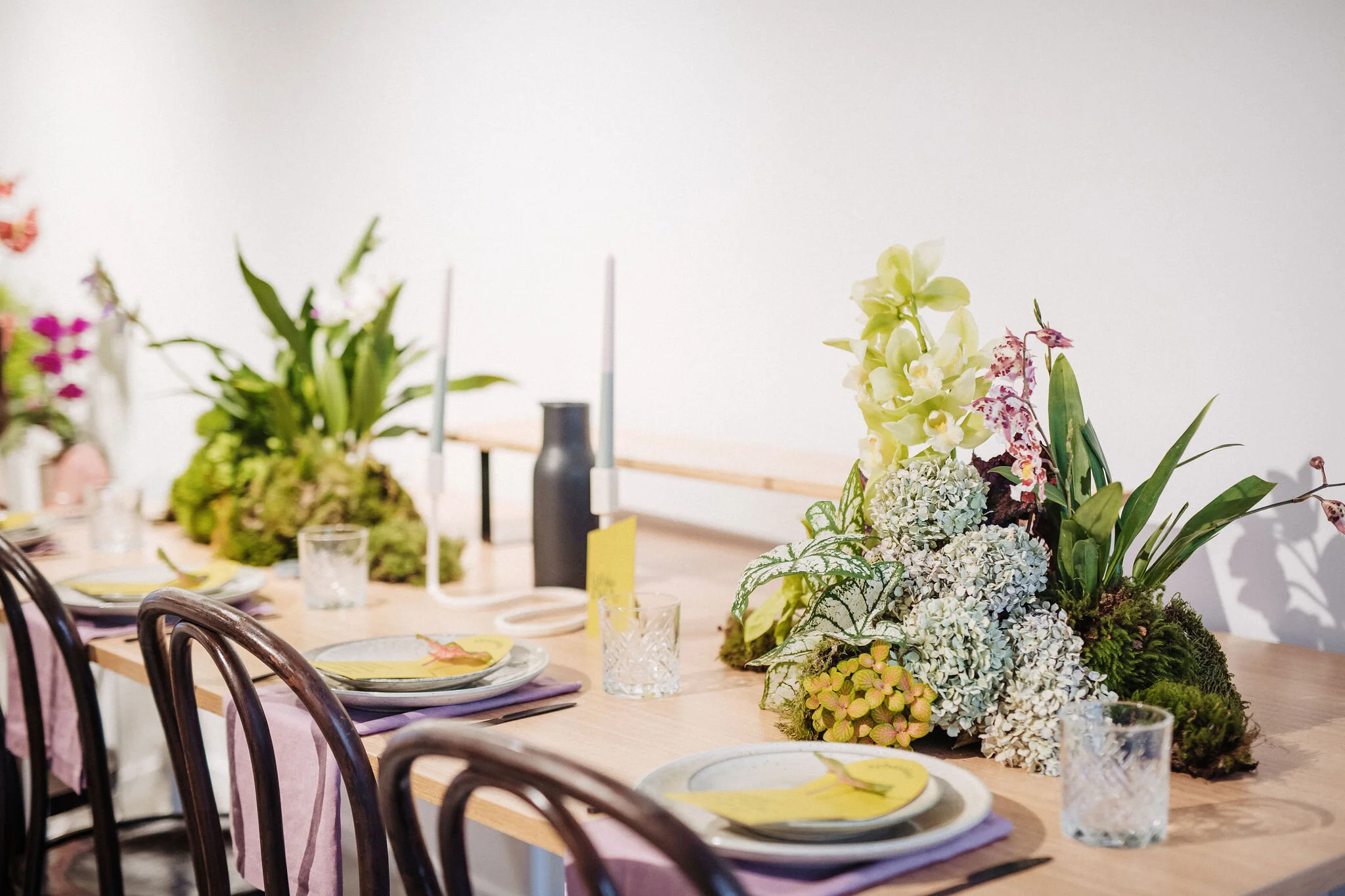 Clear Marquee Hire & Wedding Furniture Hire North Island
