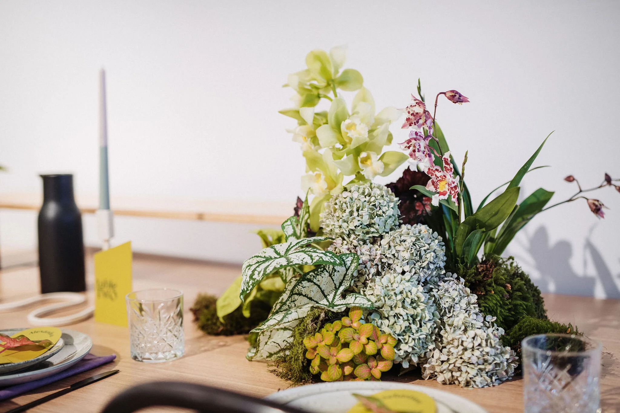 Clear Marquee Hire & Wedding Furniture Hire North Island