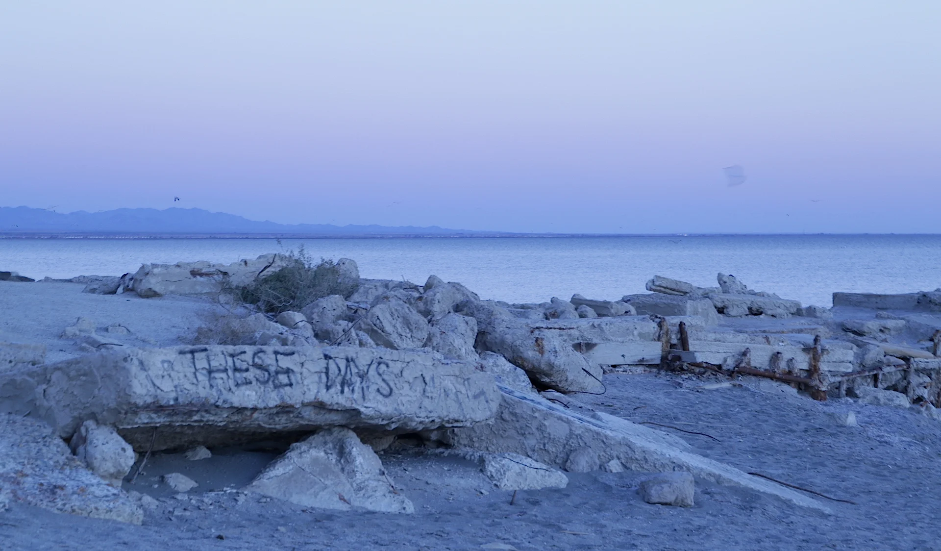 These Days (Edited).jpg