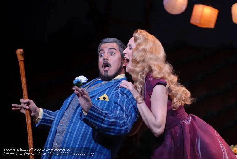 L'elisir d'amore