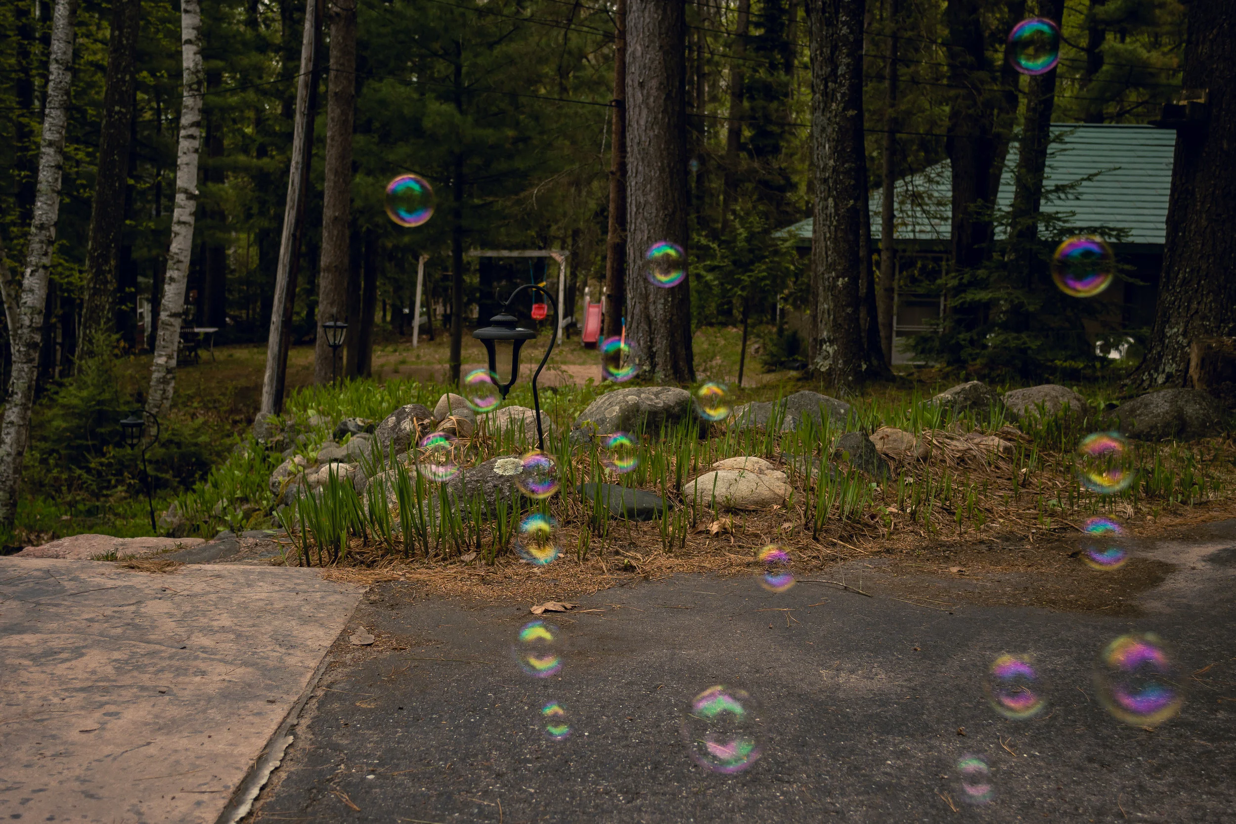 DSC_0859-3.jpg