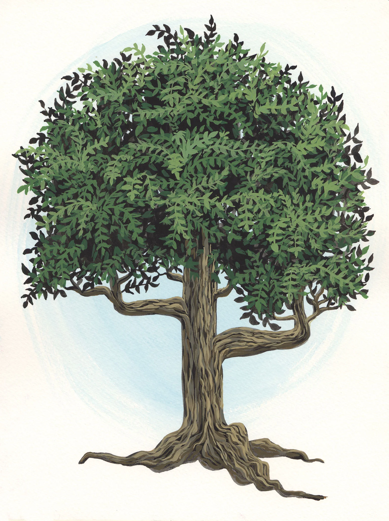 disneytree.jpg