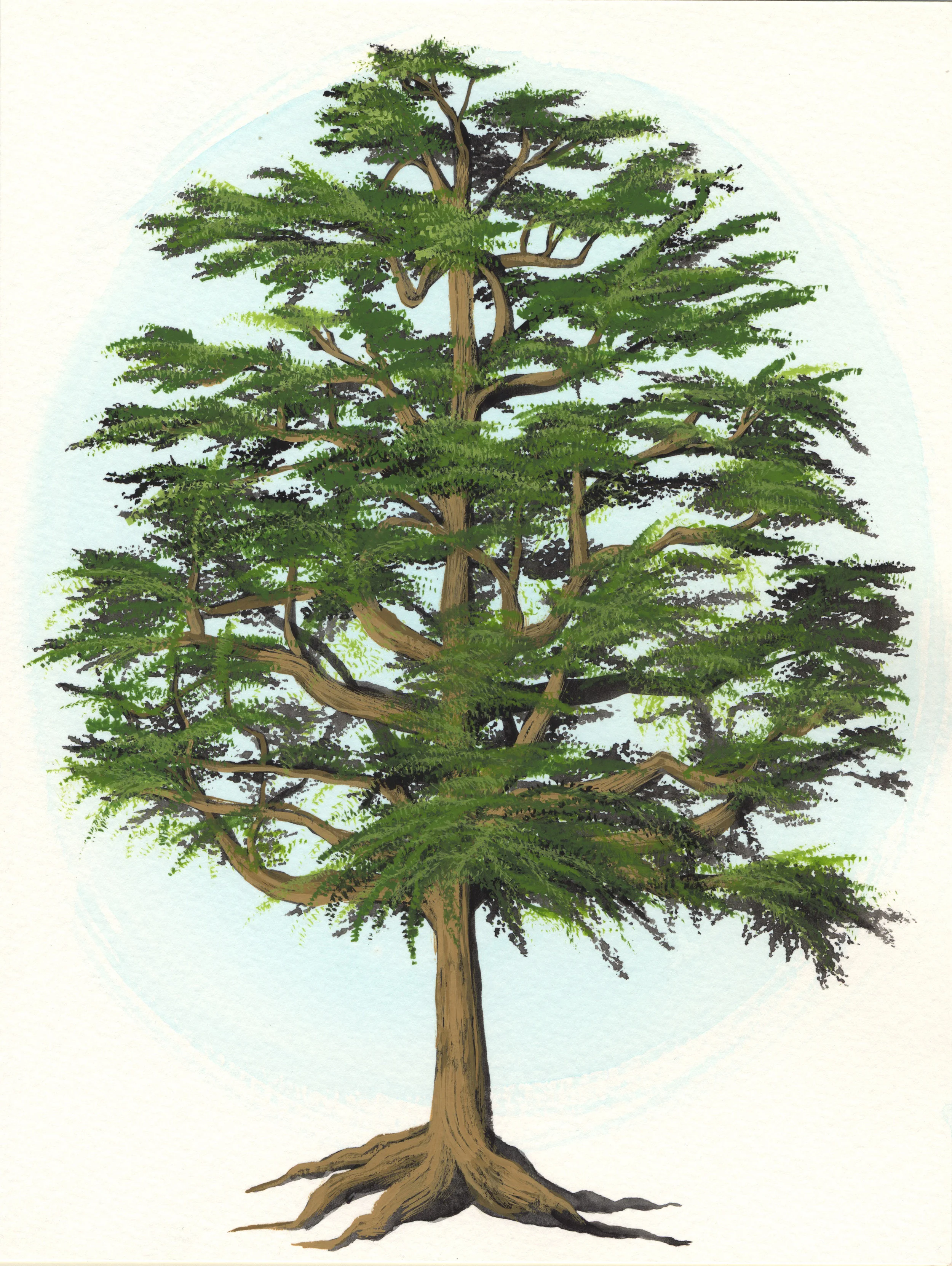 disneytree 1.jpg