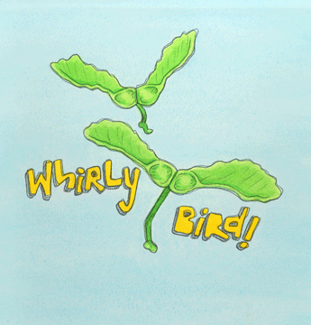 whirlybird.gif