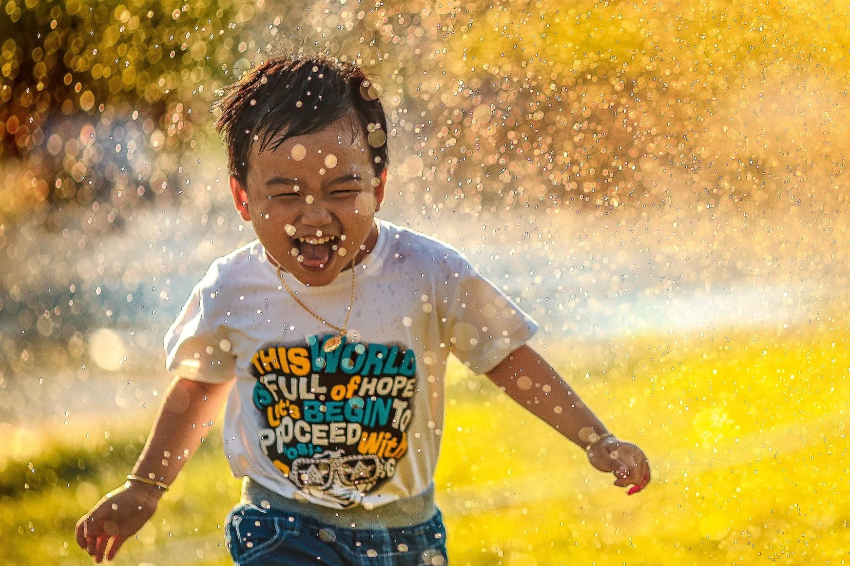 Whanau Wellness. Emergency support to whanau