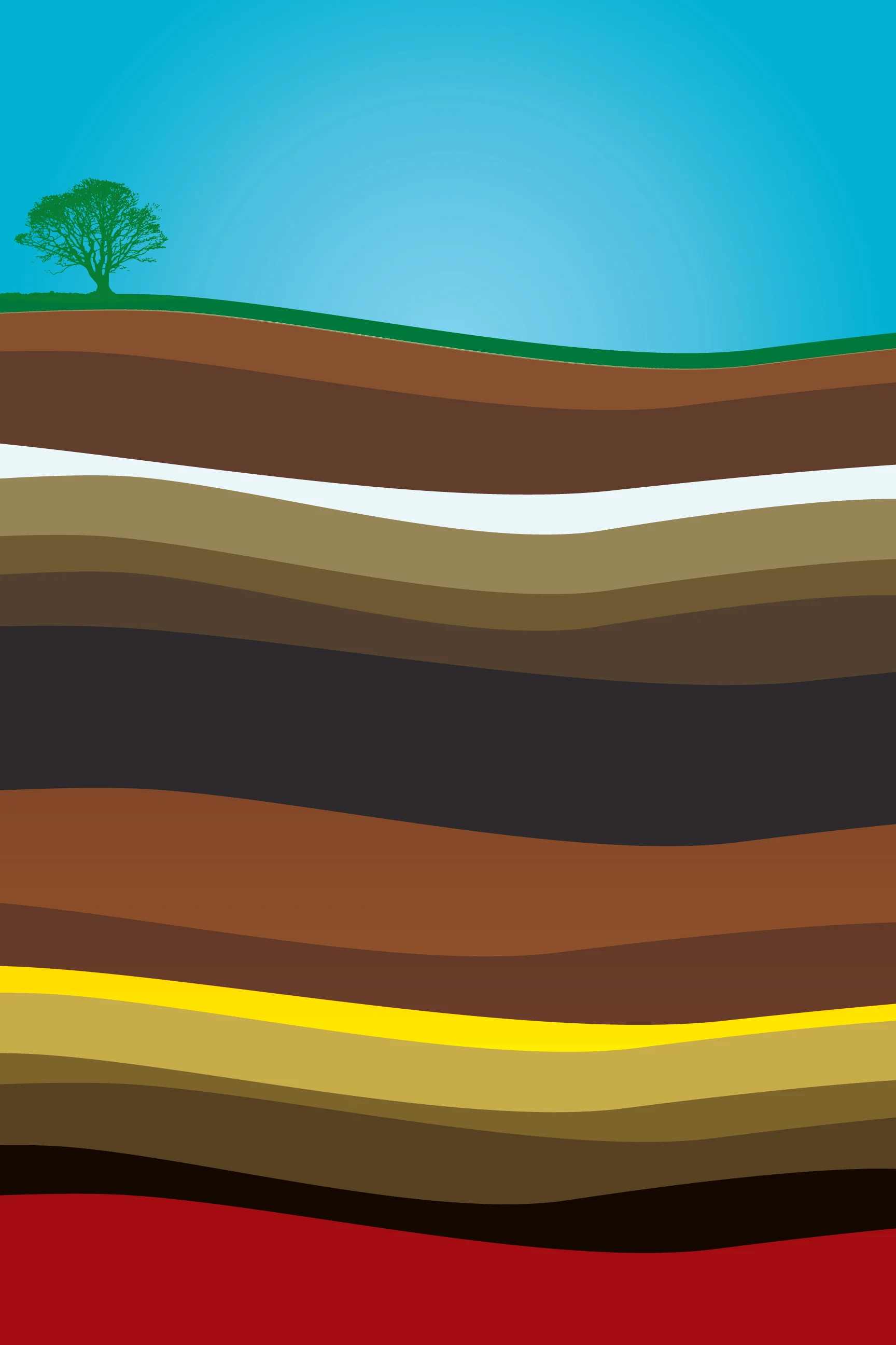 Terra-Firma-Large-Poster.jpg