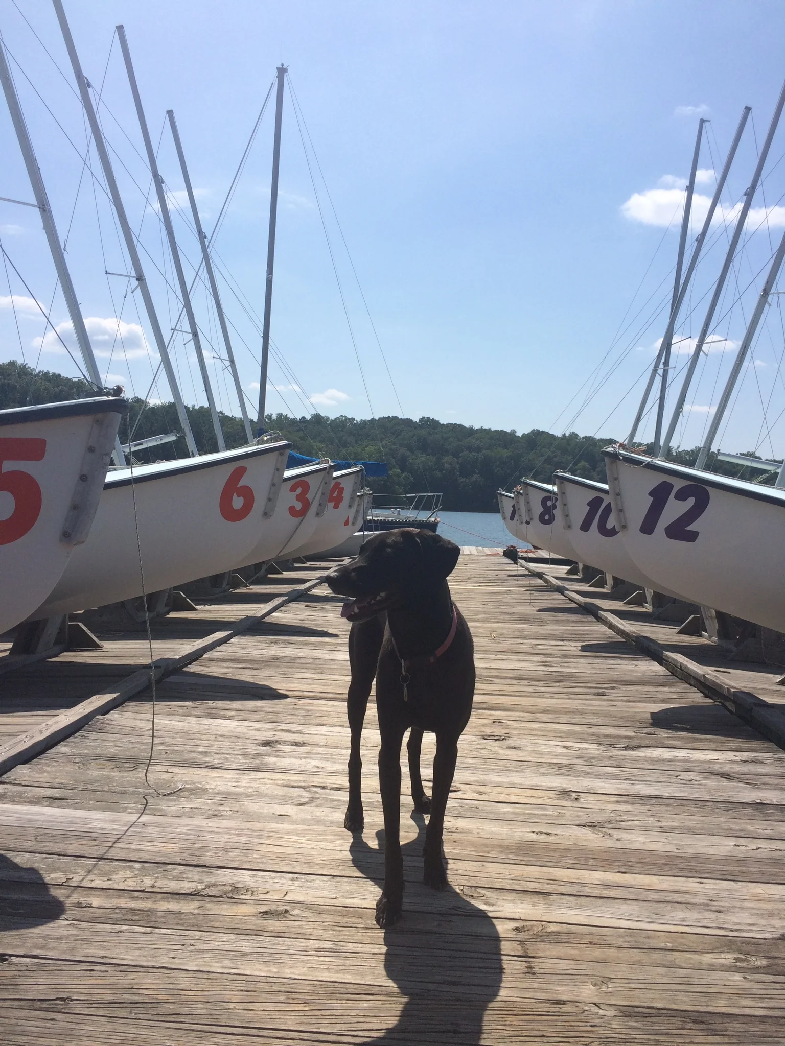 Contact — Clemson University Sailing Club