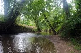 FREE: WINTER WELLNESS SERIES - A Holistic Approach to Optimize Vitality, Resilience and Immune Function