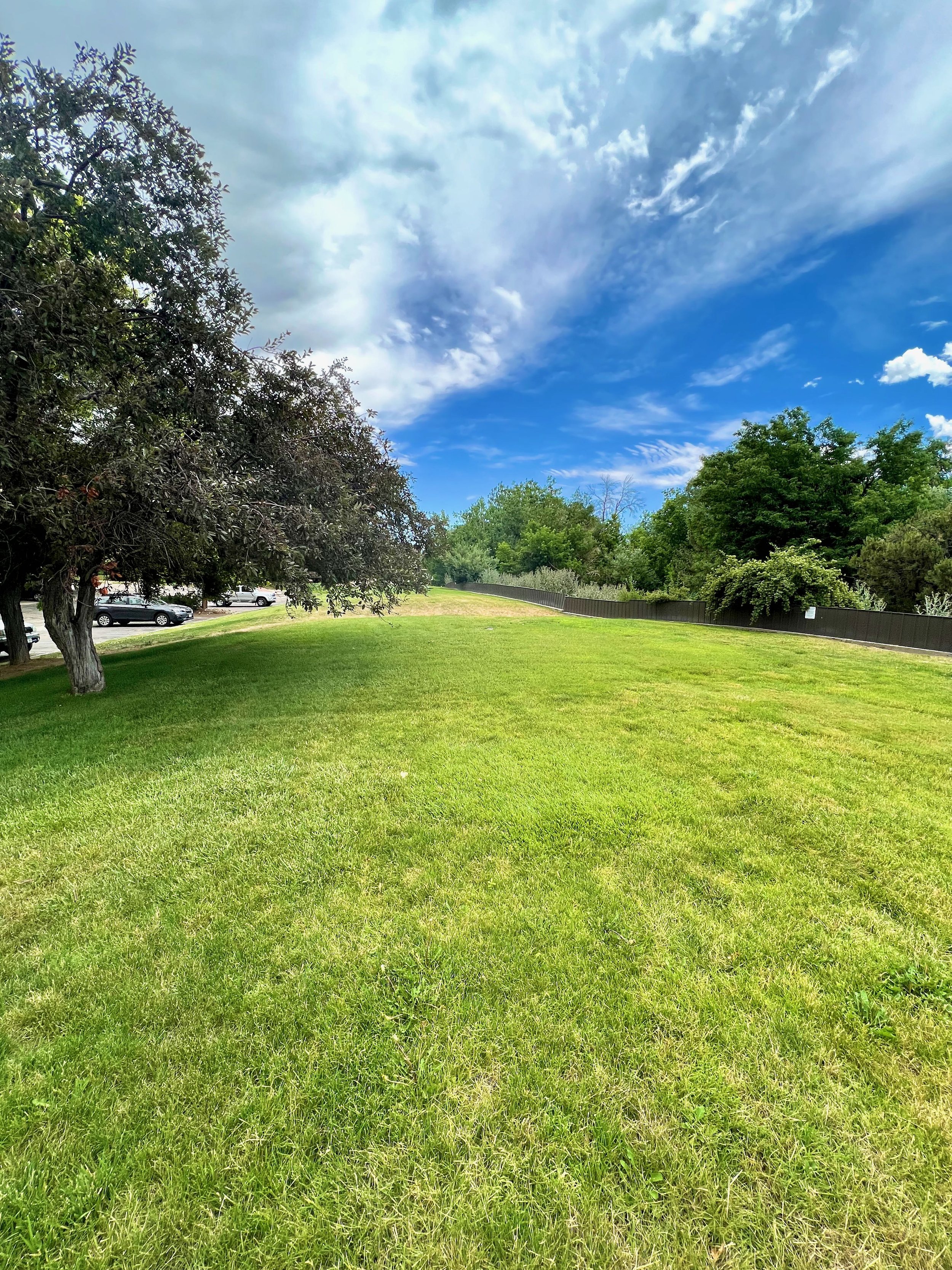 Our private lawn behind building