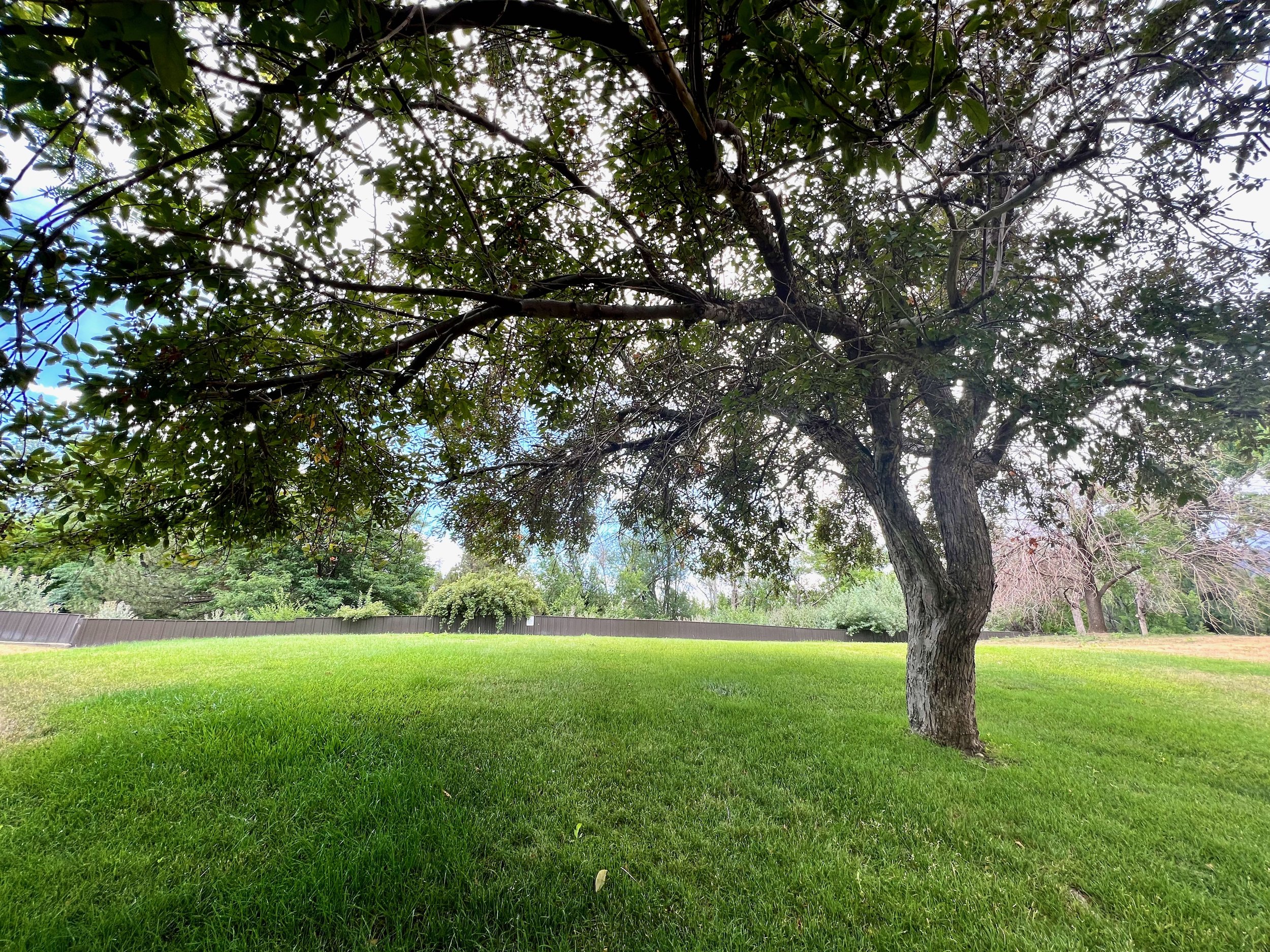 Our private lawn behind building