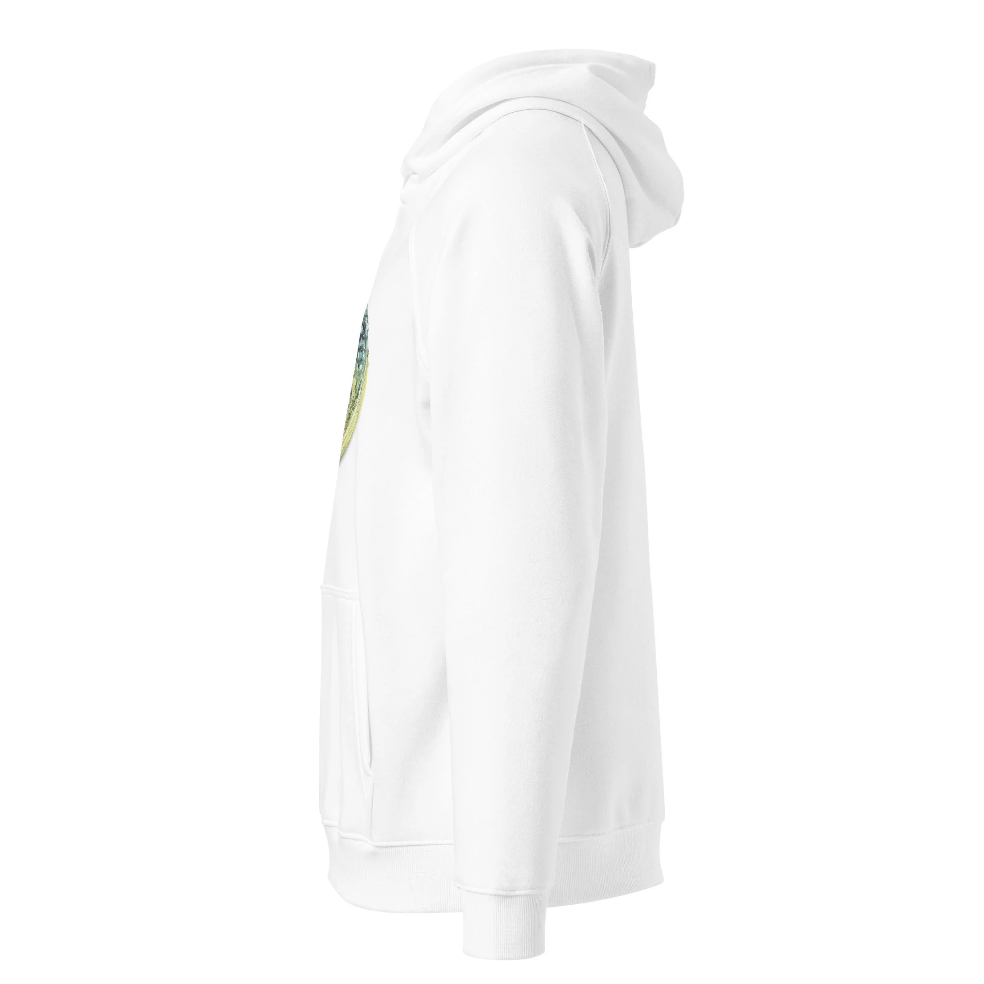 unisex-eco-raglan-hoodie-white-left-685b05a59ddf6.jpg
