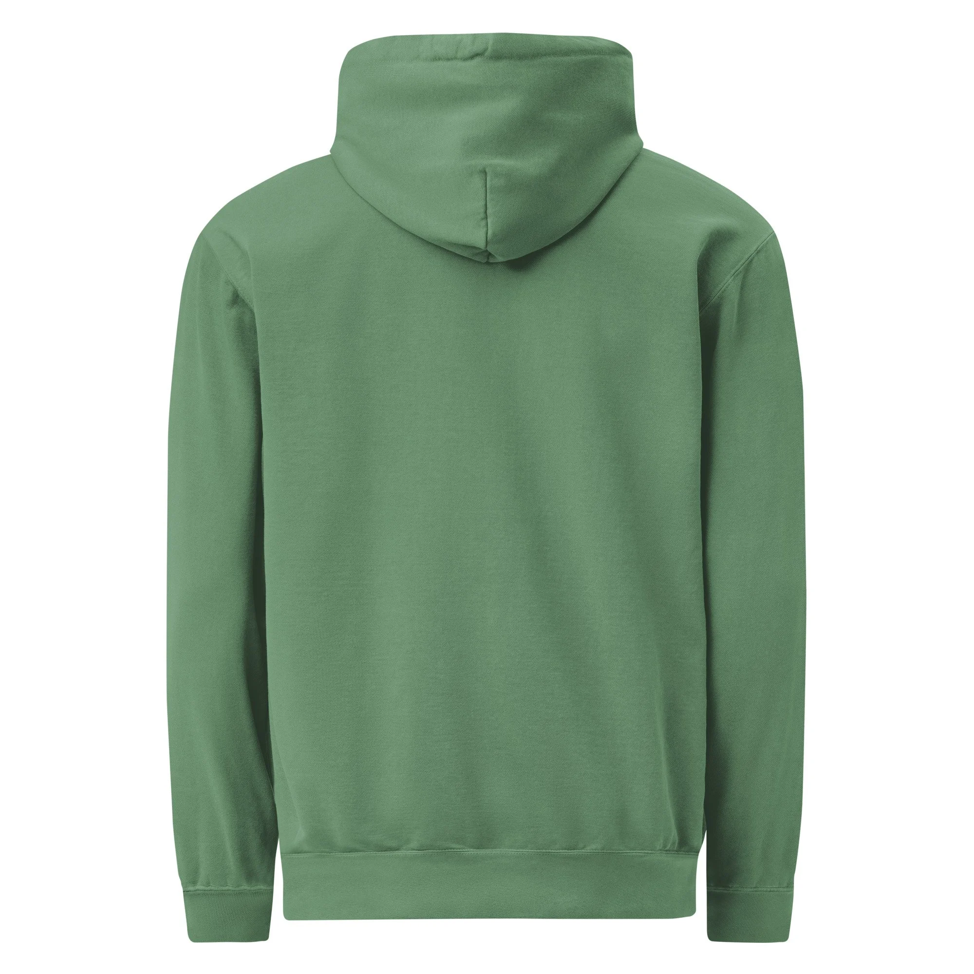 unisex-garment-dyed-hooded-sweatshirt-i-comfort-colors-1567-light-green-back-691e2320a457a.jpg