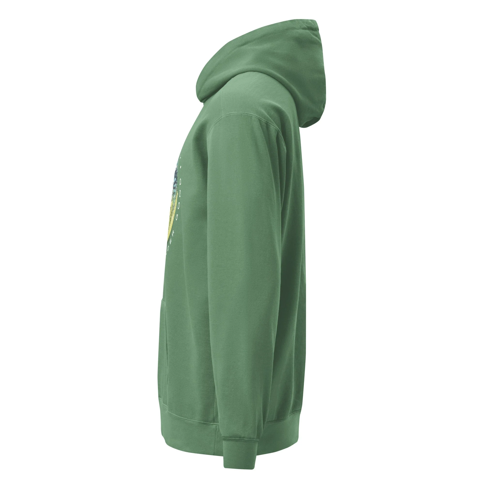 unisex-garment-dyed-hooded-sweatshirt-i-comfort-colors-1567-light-green-left-691e2320a4ac6.jpg