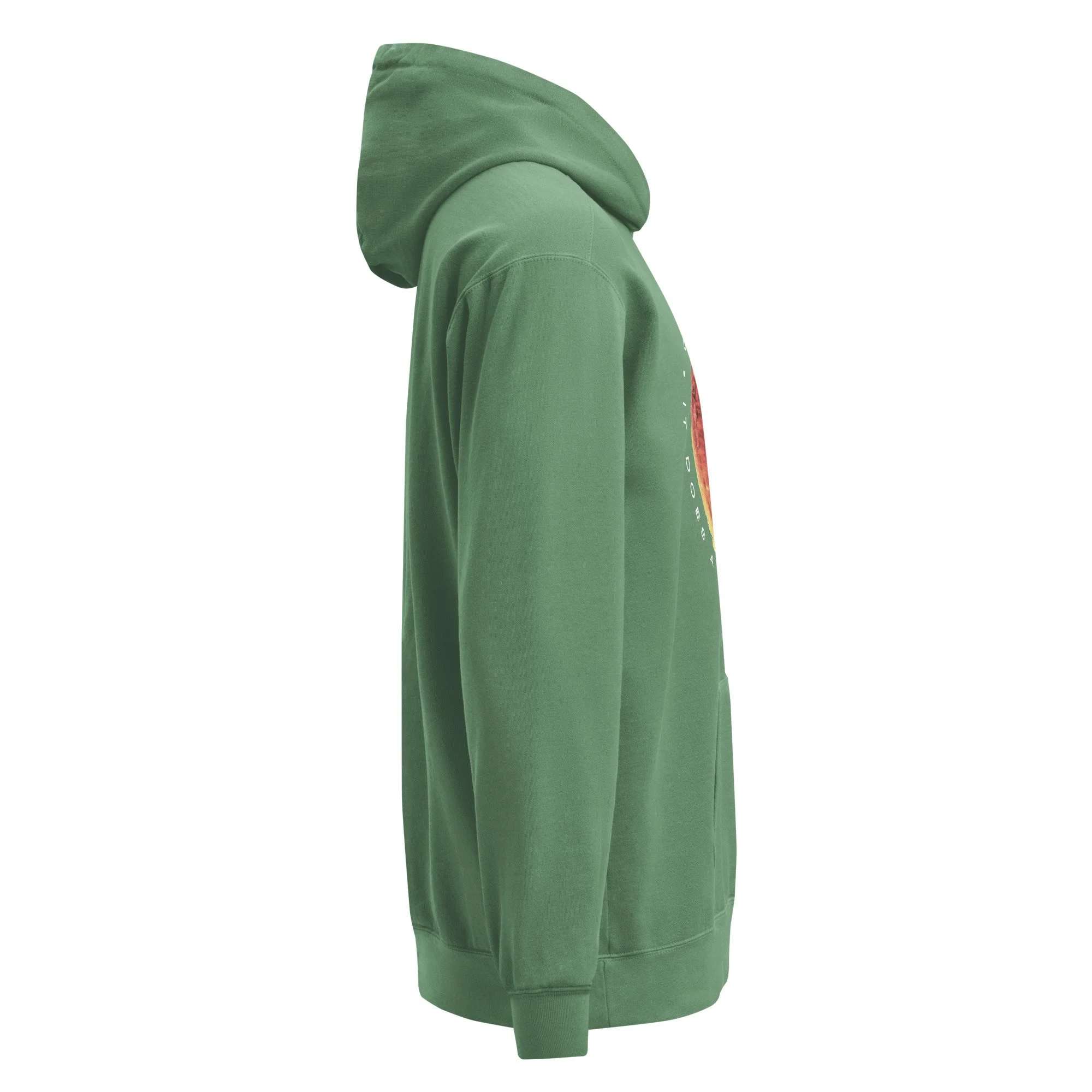 unisex-garment-dyed-hooded-sweatshirt-i-comfort-colors-1567-light-green-right-691e2320a4fe9.jpg