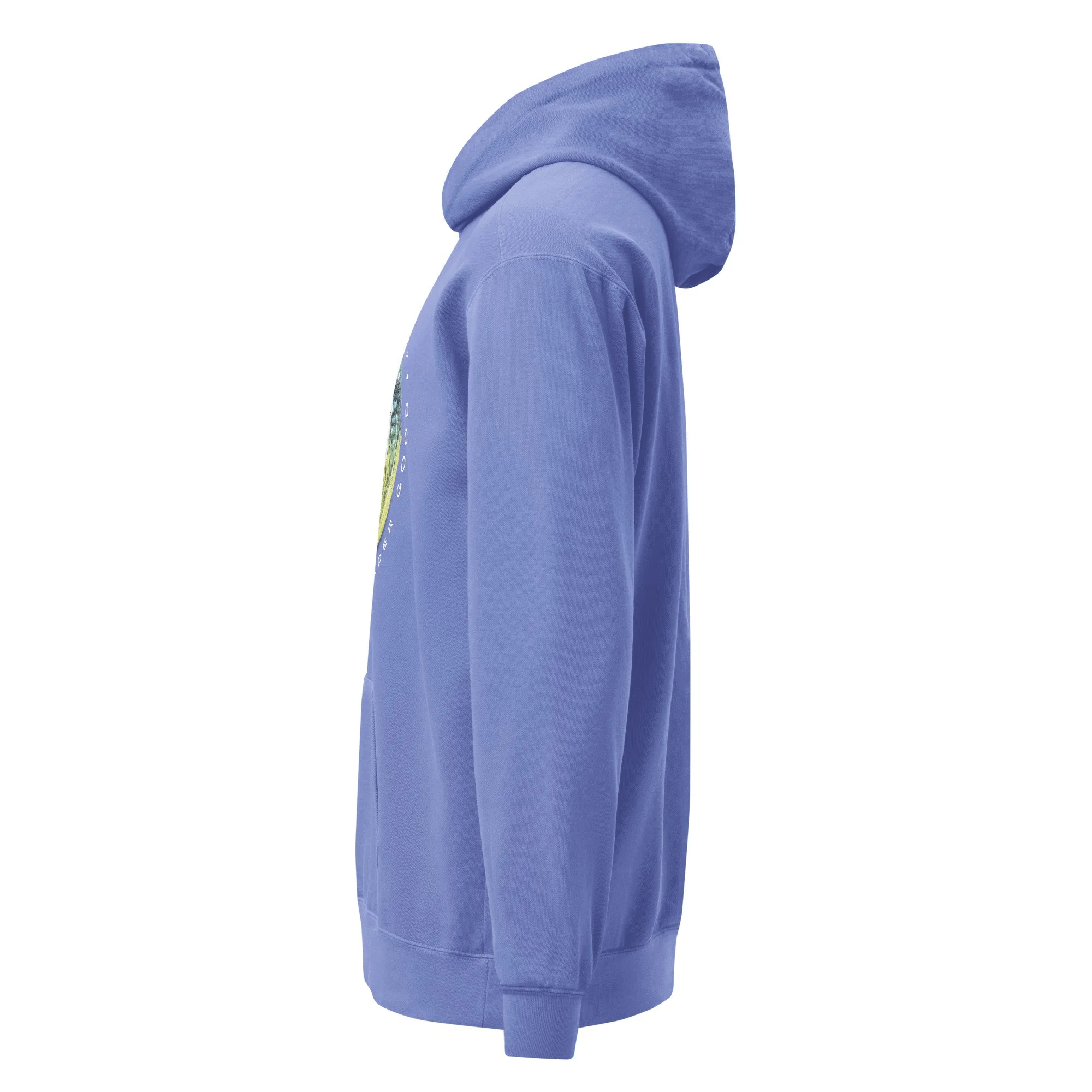 unisex-garment-dyed-hooded-sweatshirt-i-comfort-colors-1567-flo-blue-left-691e2320a634a.jpg