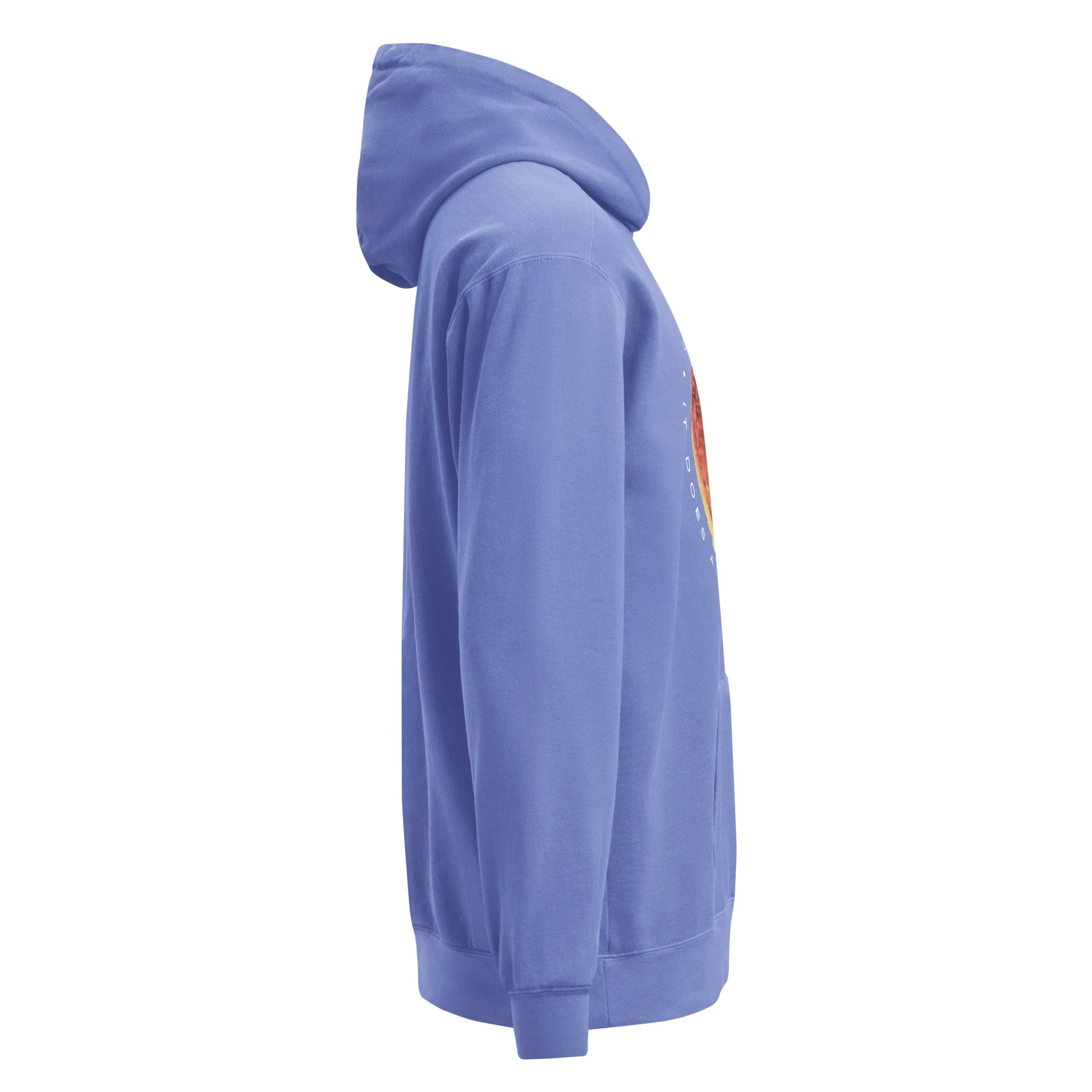 unisex-garment-dyed-hooded-sweatshirt-i-comfort-colors-1567-flo-blue-right-691e2320a69fb.jpg