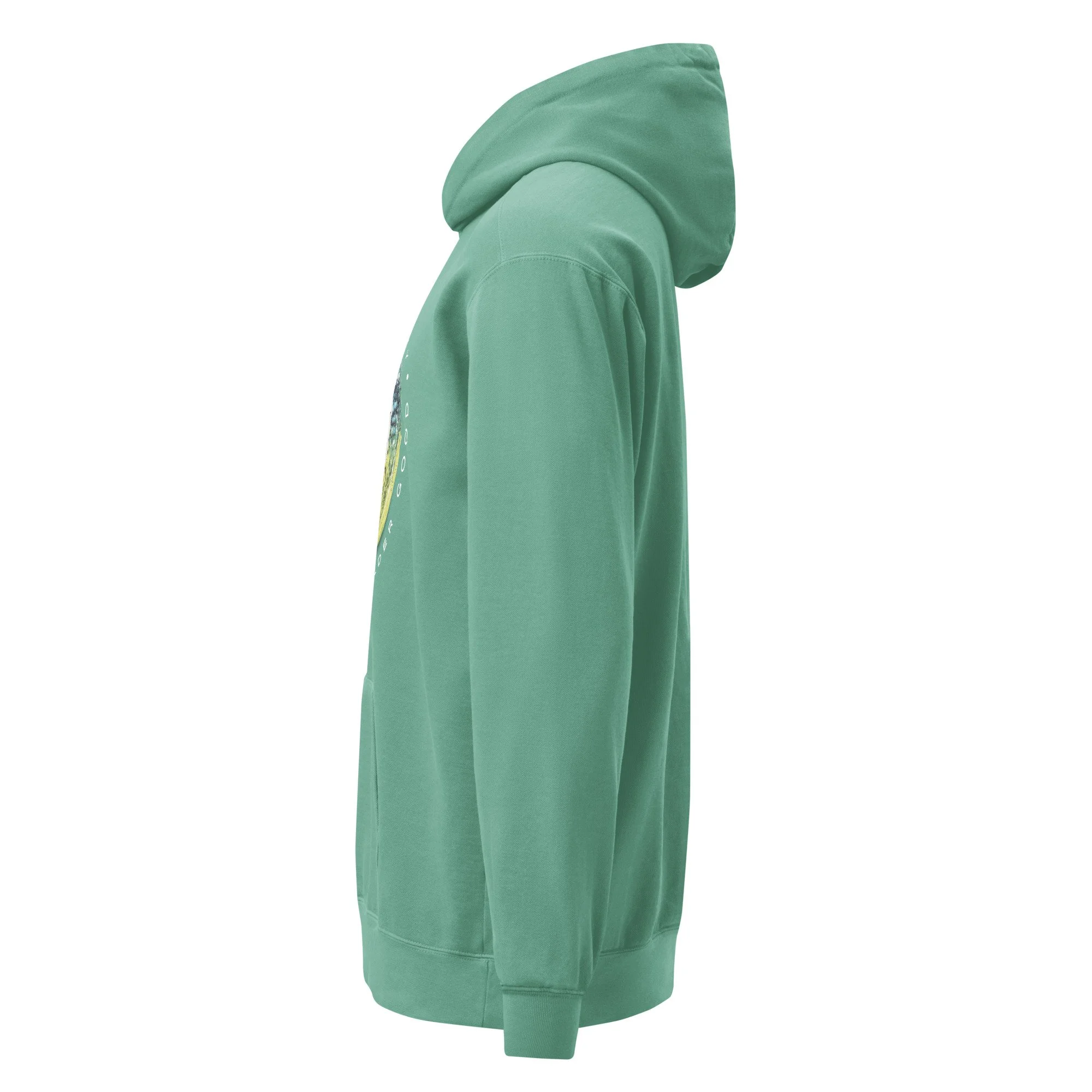 unisex-garment-dyed-hooded-sweatshirt-i-comfort-colors-1567-seafoam-left-691e2320ad3ba.jpg