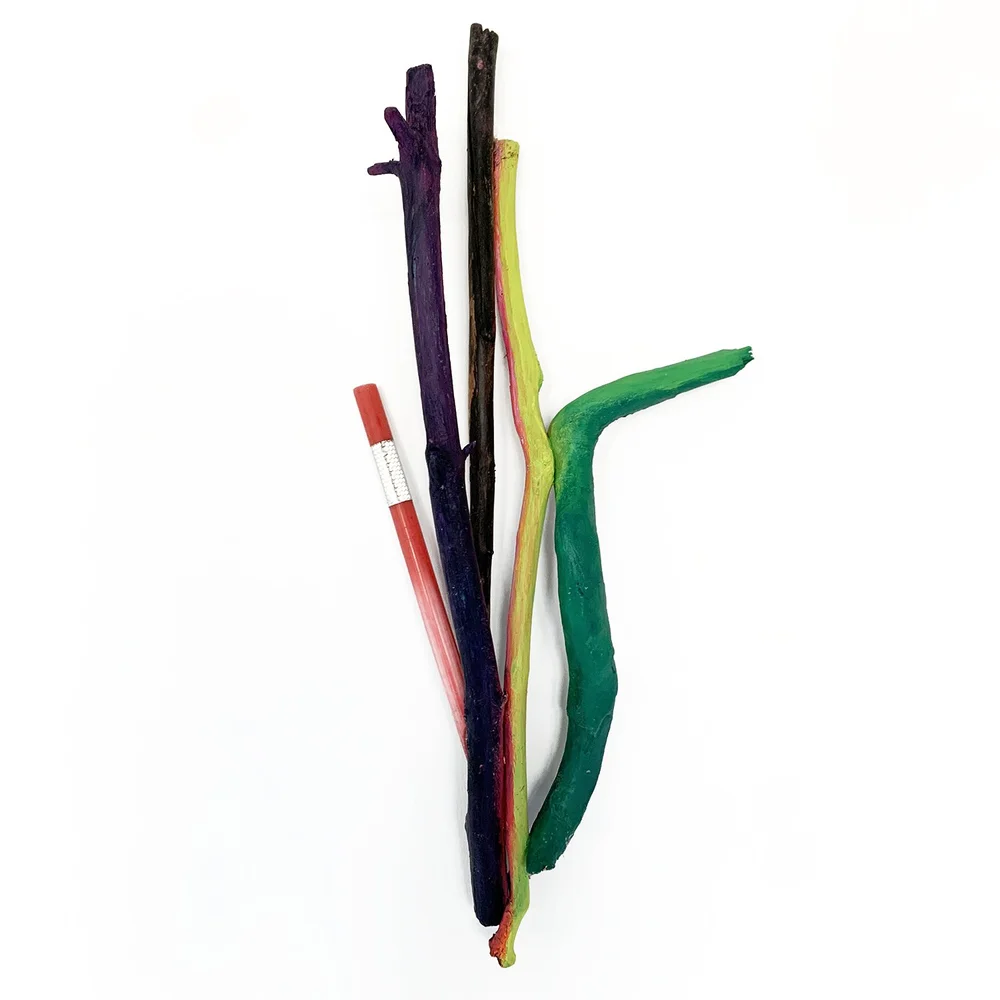 alex-markwith-bird of paradise 2022-IMG_6859-web copy.jpg